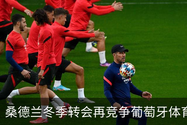桑德兰冬季转会再竞争葡萄牙体育边锋卡塔莫